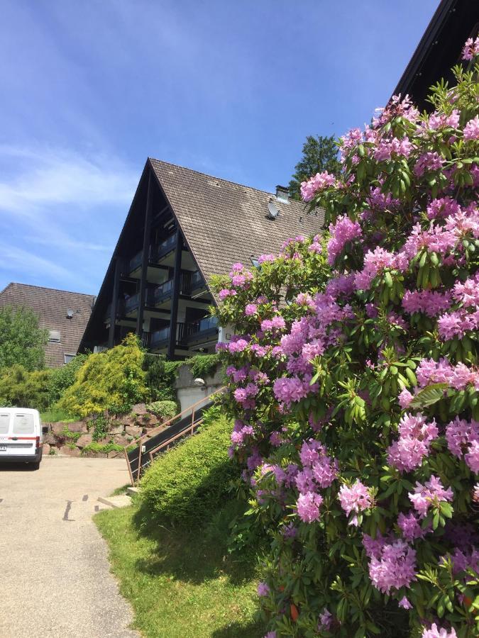 Overpoint Panorama Sasbachwalden Exterior foto